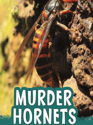 cover image of Murder Hornets